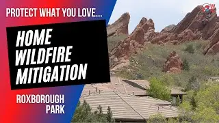Protect What You Love: Wildfire Mitigation
