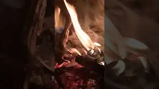 Fire 🔥 Feel || #viralreels #fire #song #love #bollywood #newshorts #vlog #music #status #newshorts