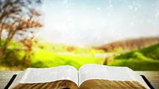 Free bible video loop   | Free HD Video - no copyright Video #FreeHDVideo #nocopyright