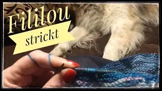 #161 Hurra… wir machen einen kal!