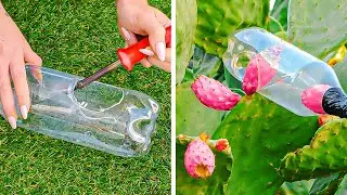 Clevere Gartentricks und Tipps zum Pflanzenwachstum