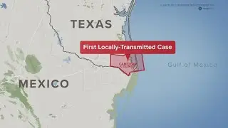 Texas reports first locally transmitted case of Dengue virus
