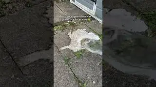 Speechless Results with Patio Cleaning #outdoorcleaning