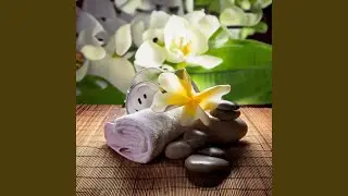 Relaxing Massage Notes
