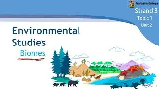 Gr10 LS - Ecology part 1