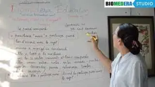 Bài 63: Thì quá khứ kép trong tiếng Pháp - Le passé composé