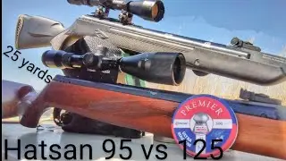 Hatsan 95 vs Hatsan 125