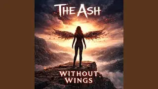 Without Wings