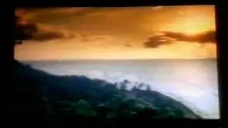Palo Viejo