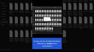 Xentari File Virus Ransomware Removal and Decrypt .xentari Files #ransomware #decryption