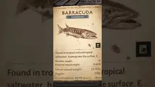 Diablo Immortal Bestiary page 269 Barracuda fish location and hours of availability #diabloimmortal