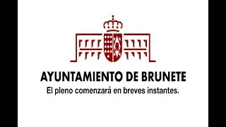 PLENO EXTRAORDINARIO 07-05-25
