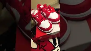 2023 UNRELEASED ST JOHN DUNKS #stjohn #nikedunk #snkrs #kotd #dunklow #smallyoutuber