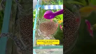 fish food saving hack without wastage #shorts #aquariumfish #fishtank #fishtanks #fishlover #viral