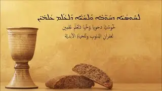 الكلام الجوهري في نافور مار بطرس هامة الرسل | القداس الماروني | الأب شربل شاهين