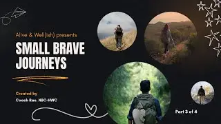 Self-Concept Editing | Small Brave Journeys Ep. 3