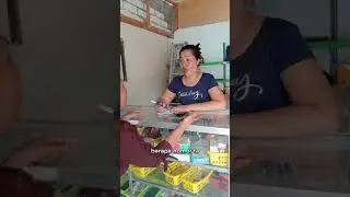 mandrasai tomatoae kasi' |komedi Bugis Pinrang sul-sel |Lestago