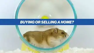 Greg Zavitz Real Estate