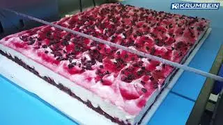 KRUMBEIN TKSM 600 Multi - Multi functional Vertical Cake & Pastry Slicer