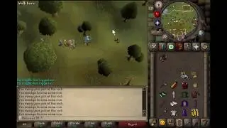 Runescape 07  - How to Deal with Iron Bots