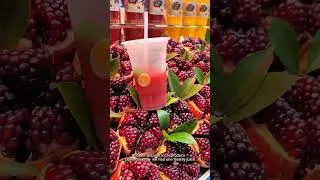 1st encounter with the peaceful lifestyle of Xian - Chance upon Huimin Street 240911