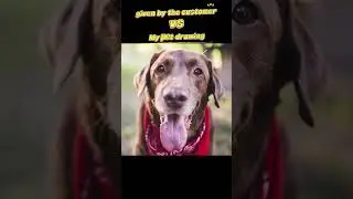 Custom pet portraits,preserve tenderness