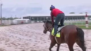 Ethereal Road another Derby starter for D. Wayne Lukas