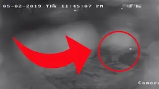 СРОЧНО: Реального пришельца сняли на видео? Это видео &mdash; просто БЕЗУМИЕ