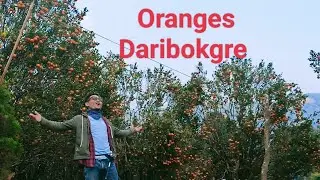 Daribok Komila Bagan 😍 Oranges