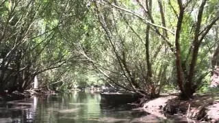 Lagoon Tour @ The Caves Of Cabarete (Las Cuevas) TryDR.net