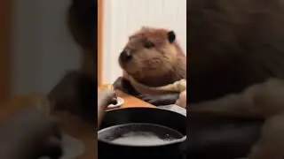 Otter Chef Cooks Pancakes! 🦦🥞 #shortsfeed  #animalshorts  #funnyshorts #funnyvideos