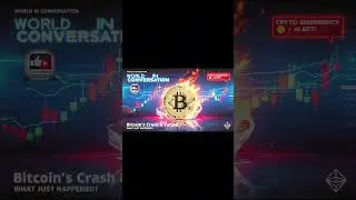 BITCOIN&rsquo;S CRASH & FUTURE &ndash; WHAT JUST HAPPENED?