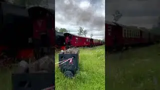 Harz Narrow Gauge Railways (Harzer Schmalspurbahnen) HSB steam engine train in Harz Germany #shorts