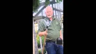 Rogue Tool Review