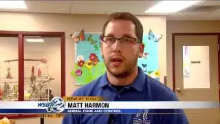 South Bend hears cases of animal ordinance violations
