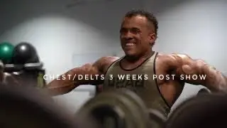CHEST/DELTS 3 WEEKS POST SHOW
