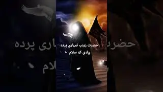 Shahswar E Karbala ( hazrat e Zainab tmhri pardadari ko salam ) #trending #shortsviral #noha