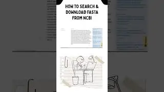How Scientists Get FASTA Files 🧬 | Format Guide in Comment