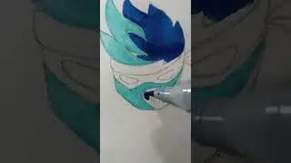 Ninja Logo or Ninja Skin?!