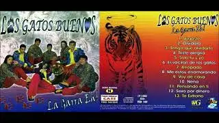Los Gatos Buenos - Megamix ( 2002 ) DJ INTENSO 📀🎹