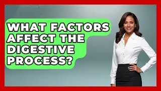 What Factors Affect the Digestive Process? | All About Anatomy Answers News