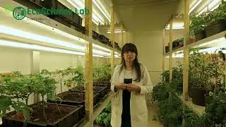 Pitch EcoScience Lab 2025