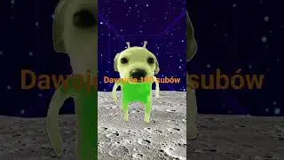 dawajcie 100 like i sub&oacute;w
