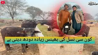 &ldquo;Complete Animal Information | Village Livestock Farming Guide&rdquo;