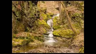Forest meditation retreat - Gentle Stream and bird sounds to help you relax and sleep.