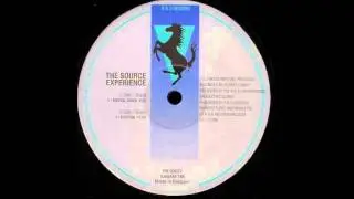 The Source Experience - Elektra (1993)