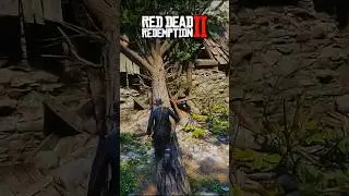 3 Hidden Treasure Locations You Missed in Red Dead Redemption 2