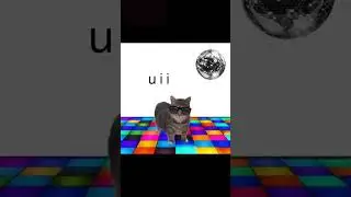 u i i a cat sings APT ⚡