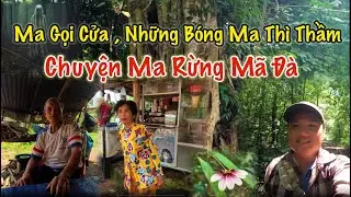 Chuyện về những bóng ma ở rừng Mã Đà, khu rừng nguyên sinh nhiều bí ẩn ở Đồng Nai.