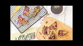太阳猫 S26E12 干脆面巧克力